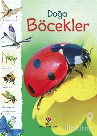 Doğa: Böcekler (Ciltli)