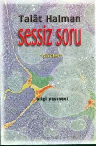 Sessiz Soru