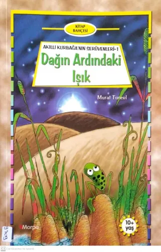 Dağın Ardındaki Işık