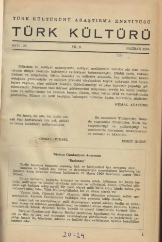 Türk Kültürü