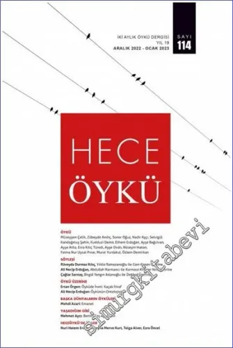 Hece Öykü Dergisi - Öyküde İroni - Sayı: 114      Aralık  2022