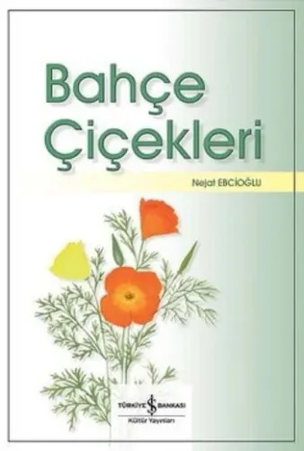 Bahçe Çiçekleri