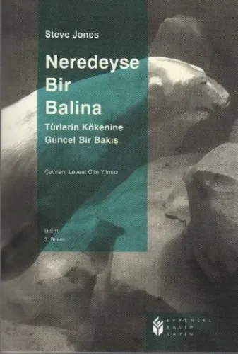 Neredeyse Bir Balina Steve Jones