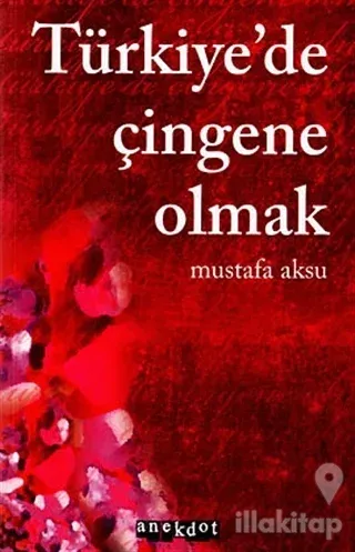 Türkiye'de Çingene Olmak