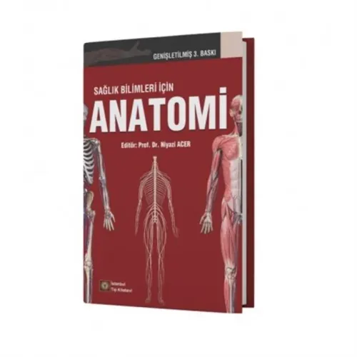 Anatomi