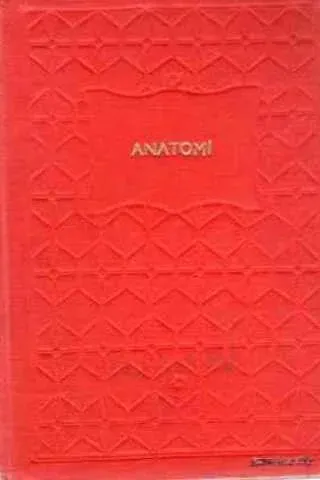 Anatomi Cilt 1