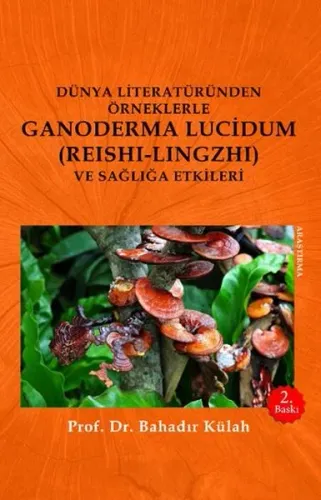Dünya Literatüründen Örneklerle