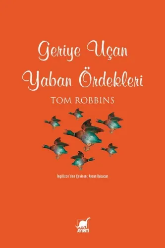 Geriye Uçan Yaban Ördekleri