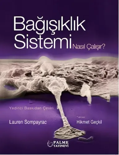 Bağışıklık Sistemi Nasıl Çalışır
