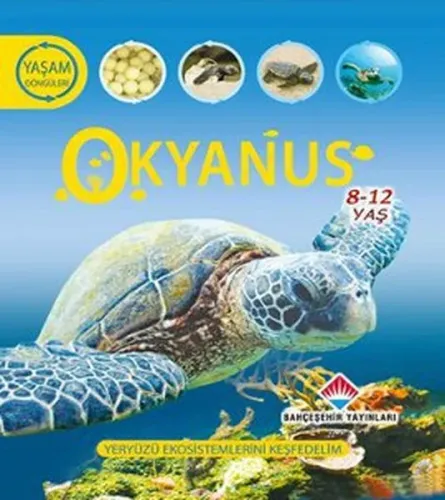 Yaşam Döngüsü Okyanus 8 12 Yaş