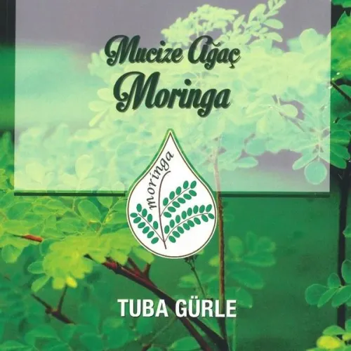 Mucize Ağaç Moringa