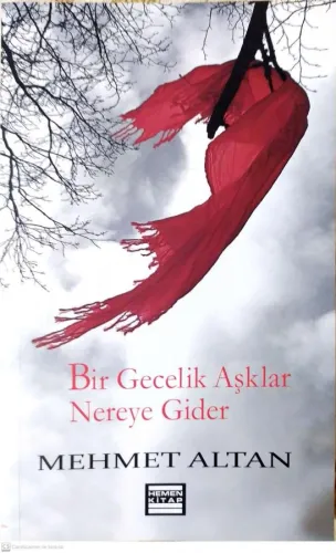 Bir Gecelik Aşklar Nereye Gider