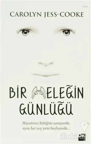 Bir Meleğin Günlüğü