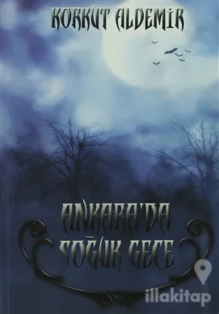 Ankara'da Soğuk Gece