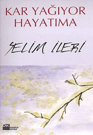 Kar Yağıyor Hayatıma