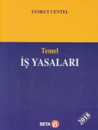 Temel İş Yasaları