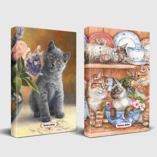 Masum Kedi ve Evin Kedileri Planlama Defteri