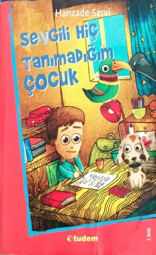 Sevgili Hiç Tanımadığım Çocuk