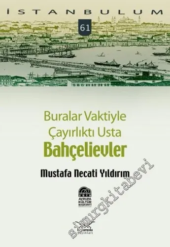 İstanbulum 61: Buralar Vaktiyle Çayırlıktı Usta Bahçelievler -         2010