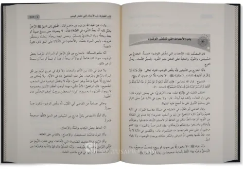 Muhtasarul Mecmu Şerhul Mühezzeb مختصر المجموع شرح المهذب Şeyh Ebu Zek
