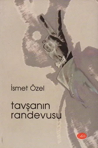 Tavşanın Randevusu