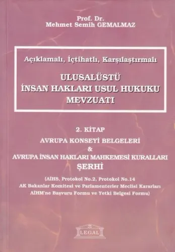 Ulusalüstü İnsan Hakları Usul Hukuku Mevzuatı ( 2. Kitap )