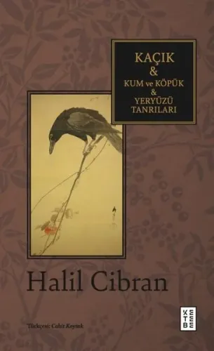 Kaçık & Kum ve Köpük & Yeryüzü Tanrıları