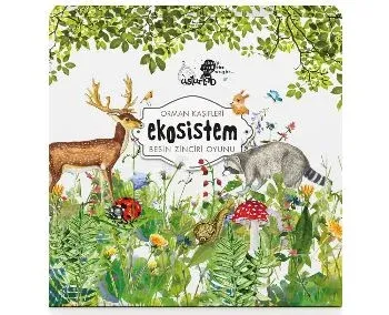 Orman Kaşifleri - Ekosistem