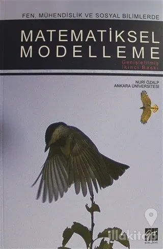 Matematiksel Modelleme