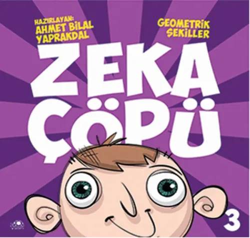 Zeka Çöpü-3; Geometrik Şekiller