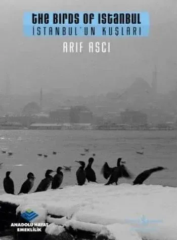 İstanbul'un Kuşları / The Birds ofm Istanbul