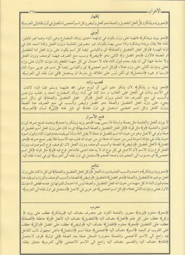 Şuruhul İzhar شروح الإظهار ويحتوي على ستة كتب