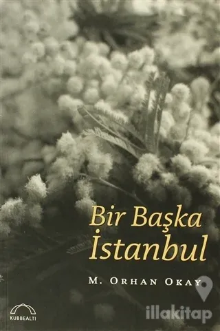 Bir Başka İstanbul