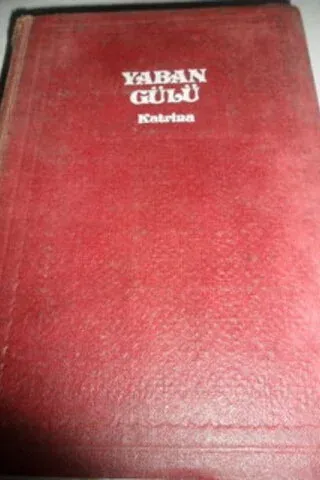 Yaban Gülü
