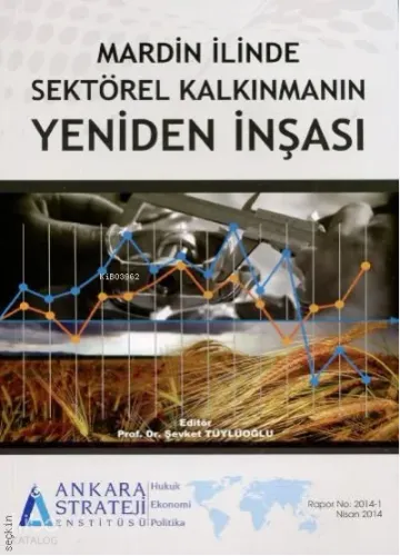 Mardin İlinde Sektörel Kalkınmanın Yeniden İnşası