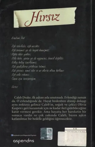 Hırsız Tarryn Fisher Aspendos Yayıncılık %56 indirimli