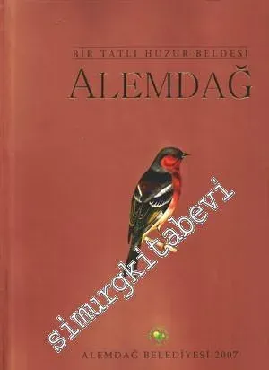 Bir Tatlı Huzur Beldesi Alemdağ -