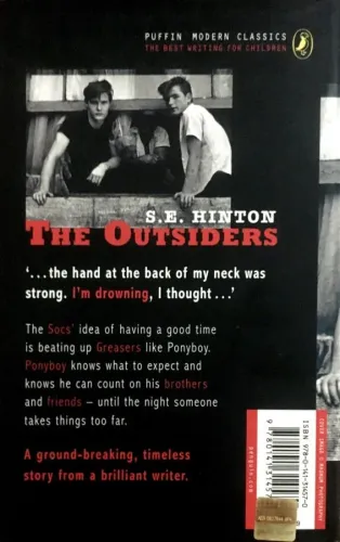 The Outsiders S. E. Hinton puffin