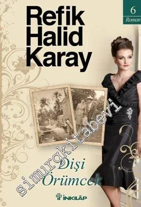 Dişi Örümcek -