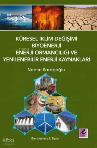 Küresel İklim Değişimi, Biyoenerji ve Enerji Ormancılığı
