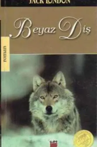 Beyaz Diş