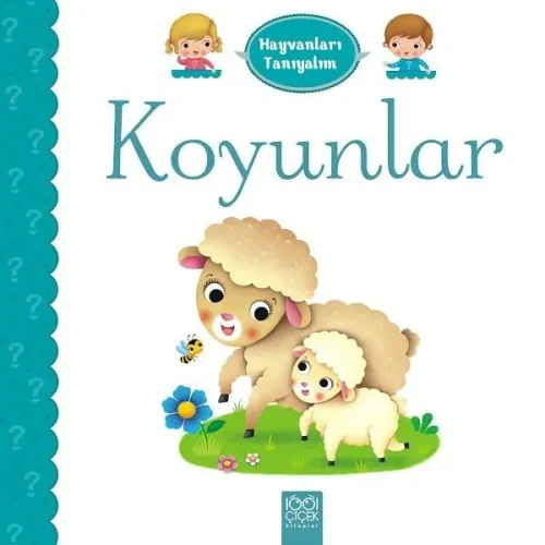 Koyunlar-Hayvanları Tanıyalım