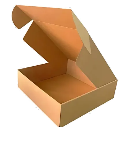 Kilitli Karton Kutu 23x14x8 cm.