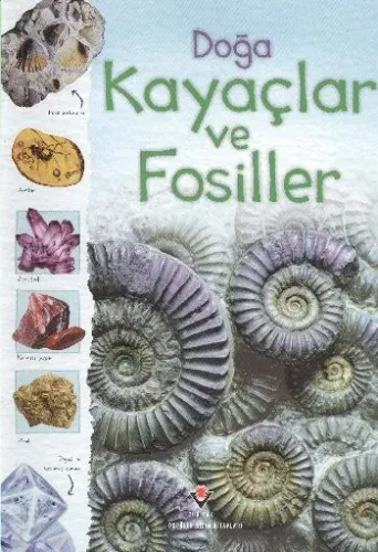 Doğa Kayaçlar ve Fosiller Struan Reid