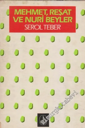 Mehmet, Reşat ve Nuri Beyler: Paris Komünü'nde Üç Yurtsever Türk -        1986