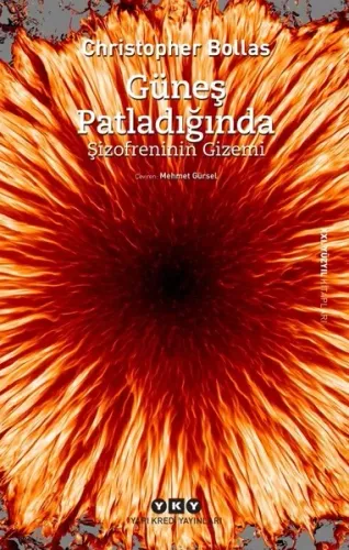 Güneş Patladığında - Şizofreninin Gizemi