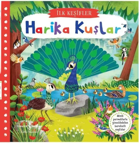 Harika Kuşlar - İlk Keşifler