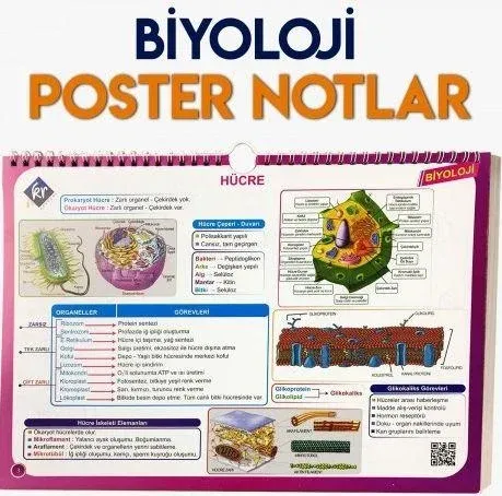KR Akademi Yayınları TYT Biyoloji Poster Notlar KR Akademi Yayınları TYT Biyoloji Poster Notlar