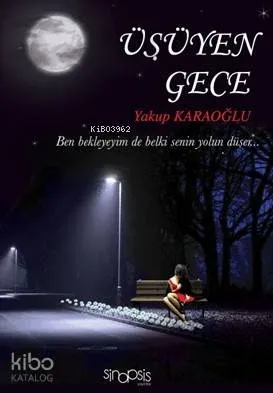 Üşüyen Gece