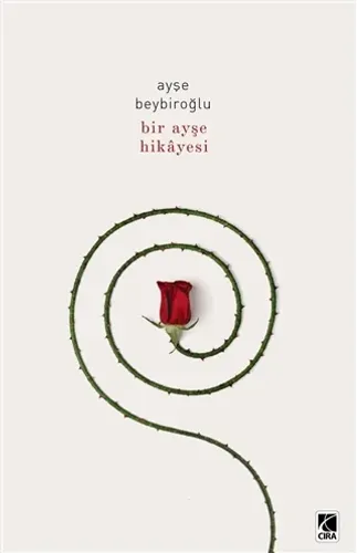 BİR AYŞE HİKAYESİ